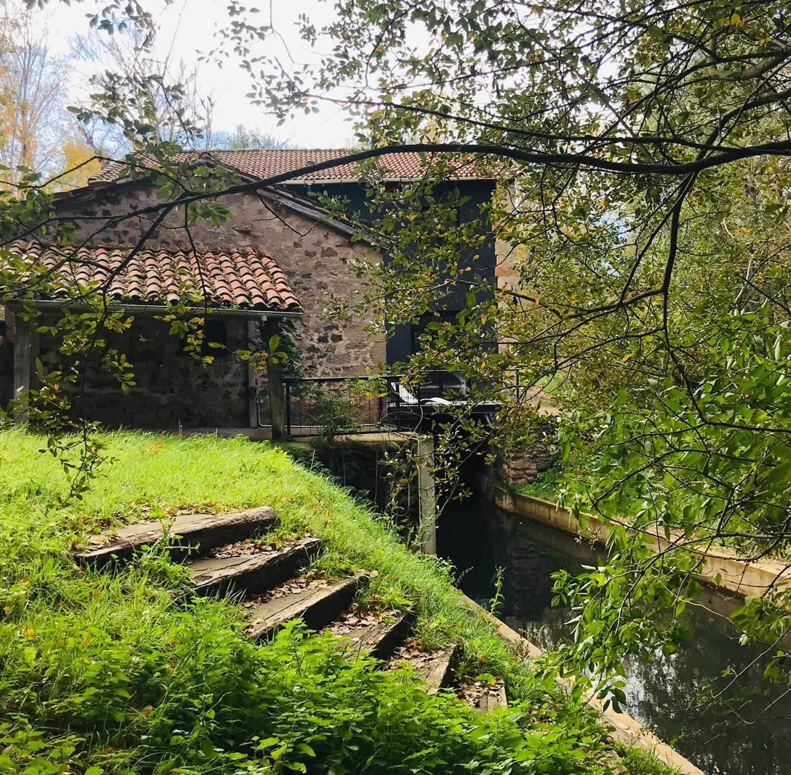 WhatsApp Image 2025-08-26 at 12.15.59.jpeg