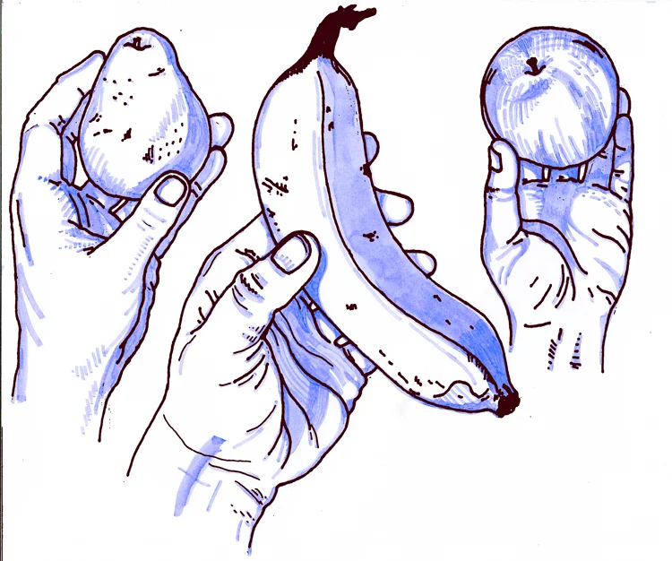 fruit and hands low-res.jpg