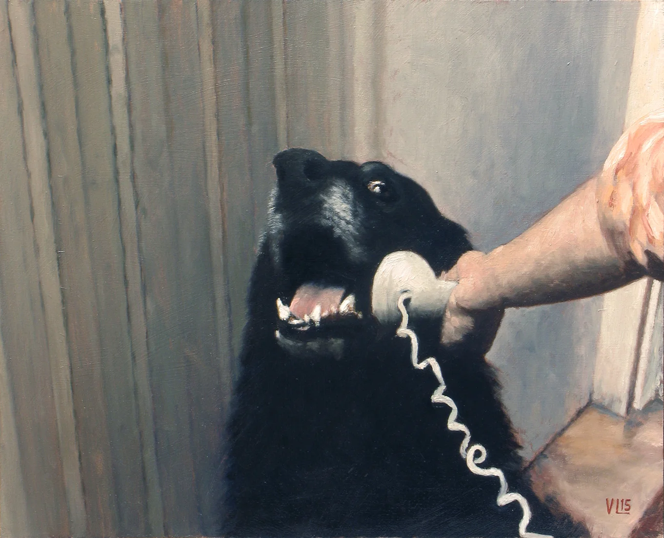 contactus.jpg