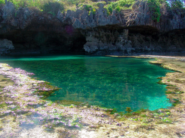 A serene coastal scene features a turquoise tidal pool bordered by rocky cliffs and lush greenery, under a clear, sunny sky. Calm and tranquil atmosphere.