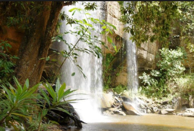 A serene waterfall cascades over a rocky ledge surrounded by lush green foliage. Sunlight filters through leaves, creating a tranquil, natural scene.