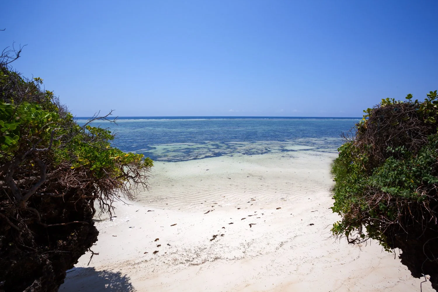 IMG_6510 Ras Kikadini Beach House Diani Kenya Low res.jpg