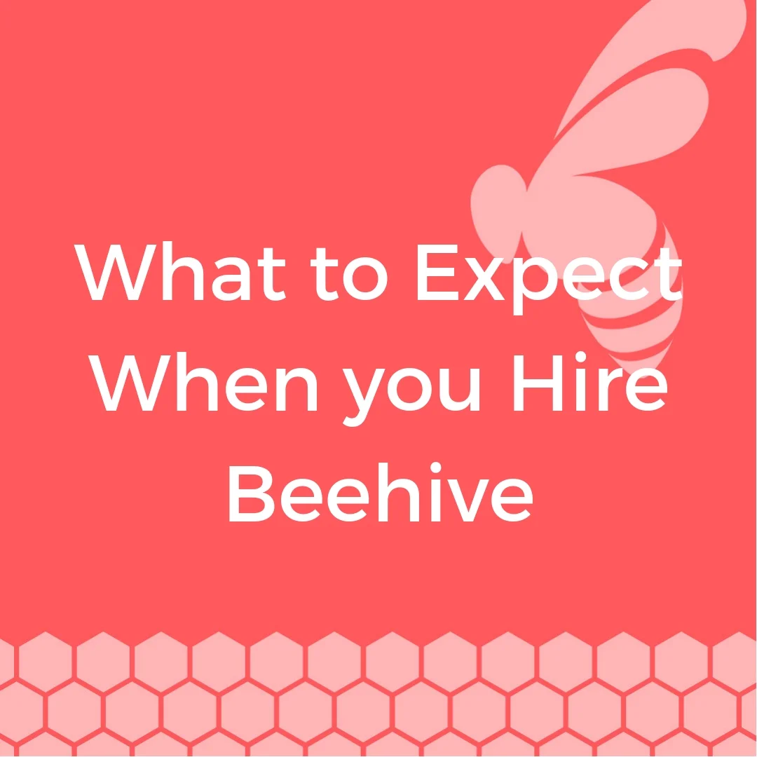 Beehive-Development-blog-What-to-Expect-When-you-Hire-Beehive.jpg