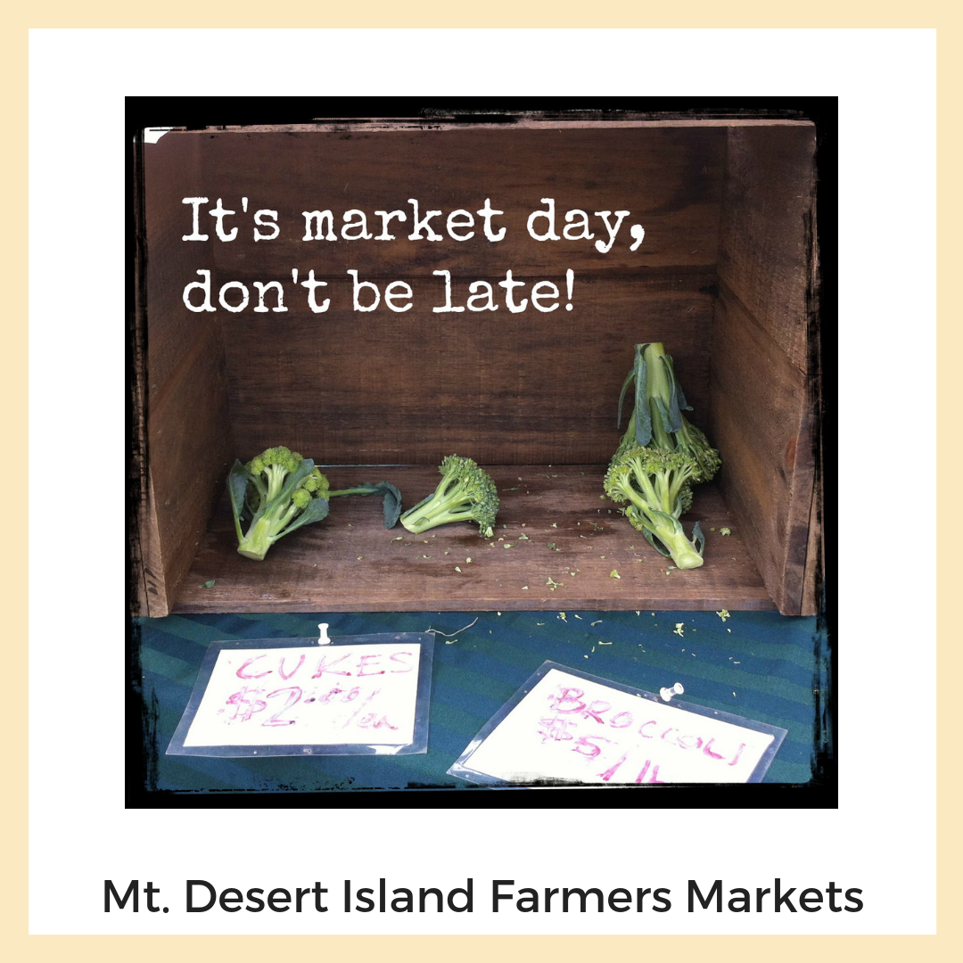 Mount Desert Island Farmers Markets: Bar Harbor’s Eden Farmer’s Market + Northeast Harbor Farmer’s Market. Social Media, Photography + Image Editing