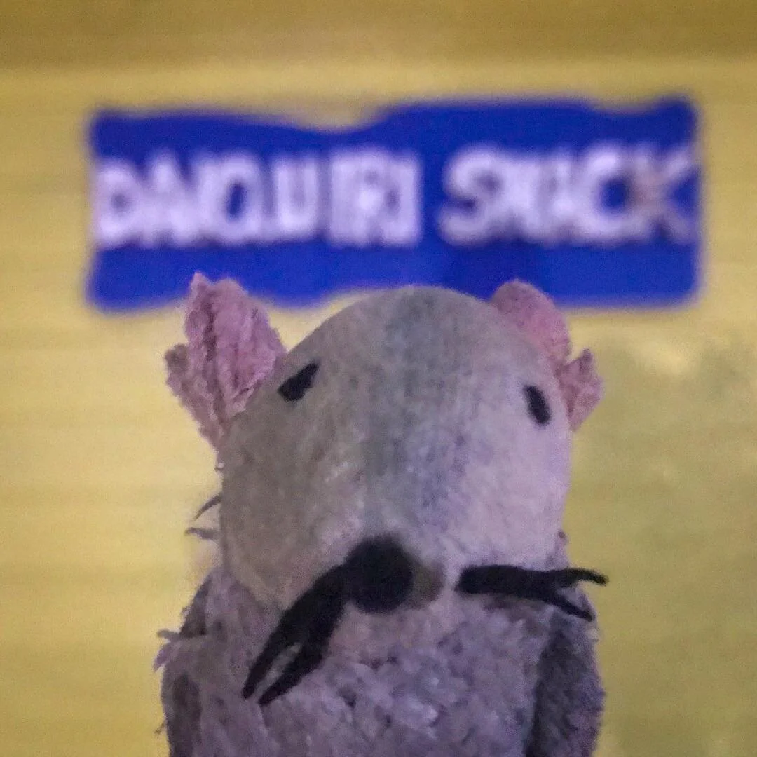 Who&rsquo;s going to the Daiquiri Shack?! This mouse! #daiquirishack #daqshack #bahamarresorts #bahamar #lifeinpiecescbs @backatall @betsybrandt @zoelisterjones @angeliquecabral @hunterking