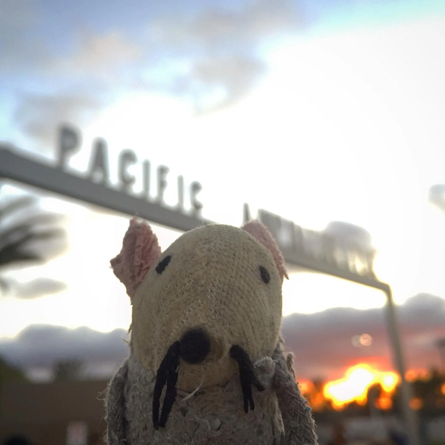 Lucky enough tonight to see our friend conduct a live orchestra for Star Wars. Kudos Mr. Kaufman! #starwars #anewhope #pacificamphitheatre #richardkaufman #maytheforcebewithyou