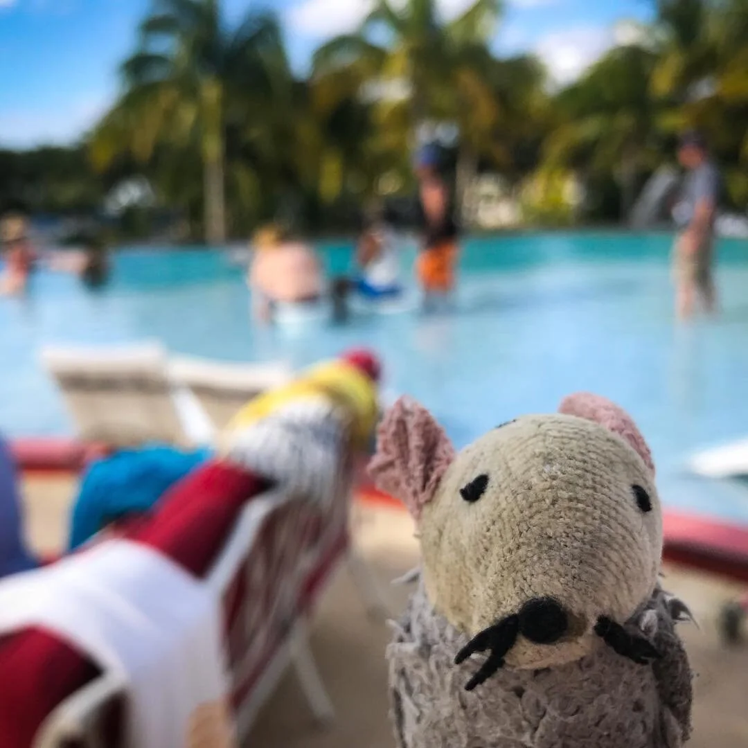 Sadly, that&rsquo;s a wrap on season 4. Great show, great people. Great place. #lifeinpiecescbs #lifesabeachinpieces #hughesfamily @backatall @betsybrandt @hunterking #bahamar #bahamarresorts #wrap #luckymouse #staytuned