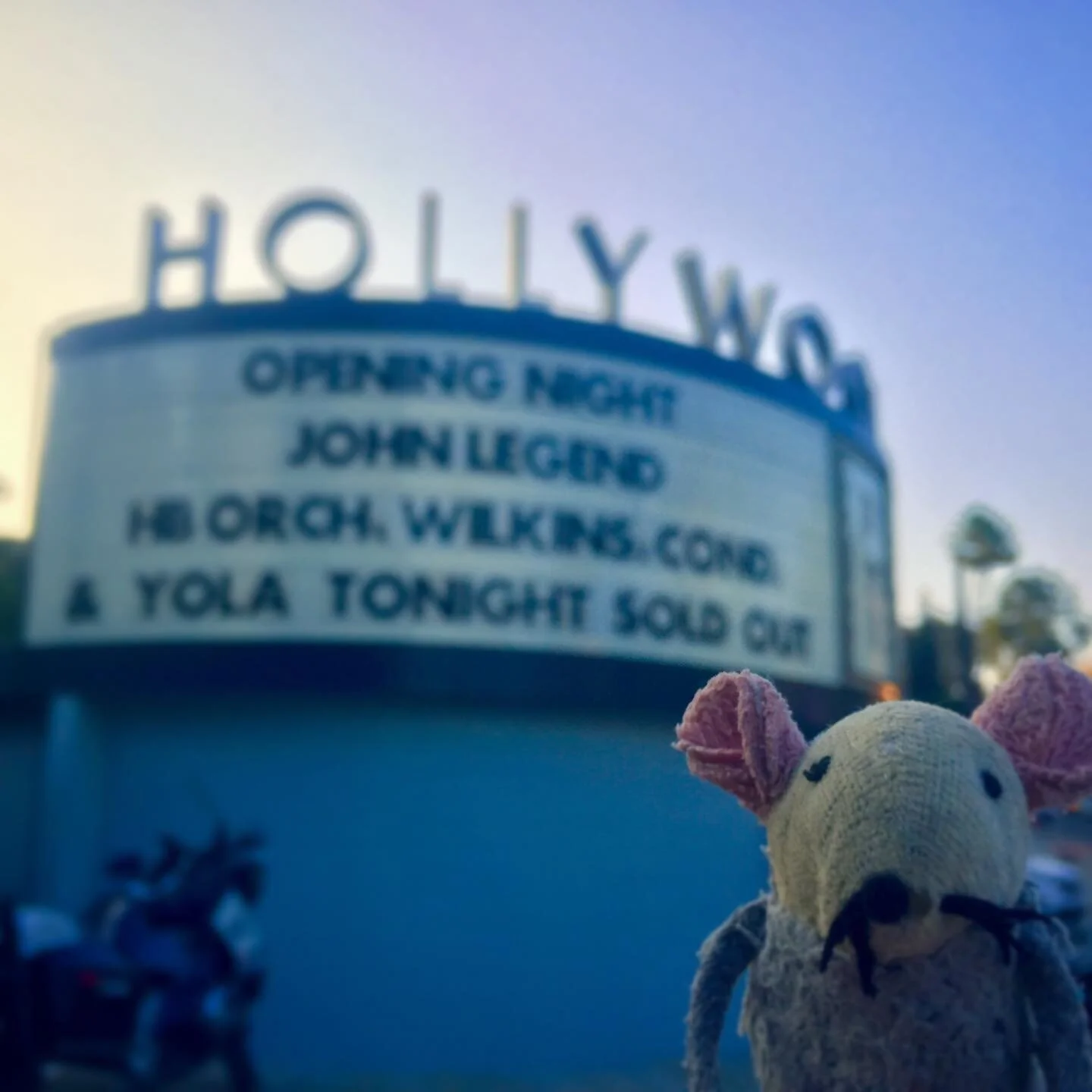 Opening night at the Hollywood Bowl! Hi Chrissy! Hi John!
#hollywoodbowl #johnlegend  @johnlegend #chrissyteigen @chrissyteigen #openingnight #summer