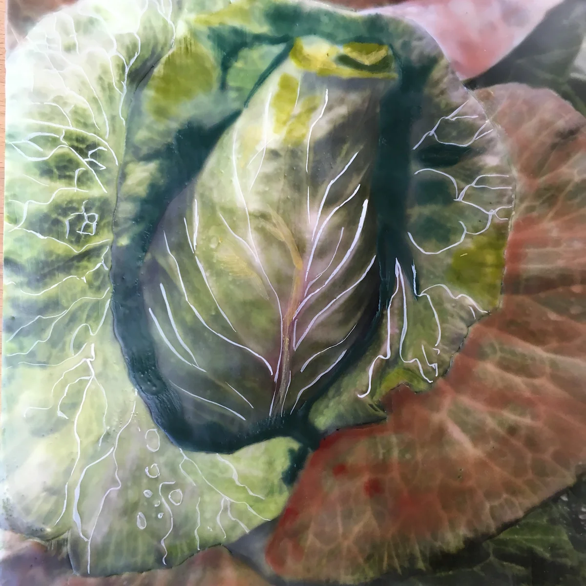 Ox Heart Cabbage Monticello 11"x11"