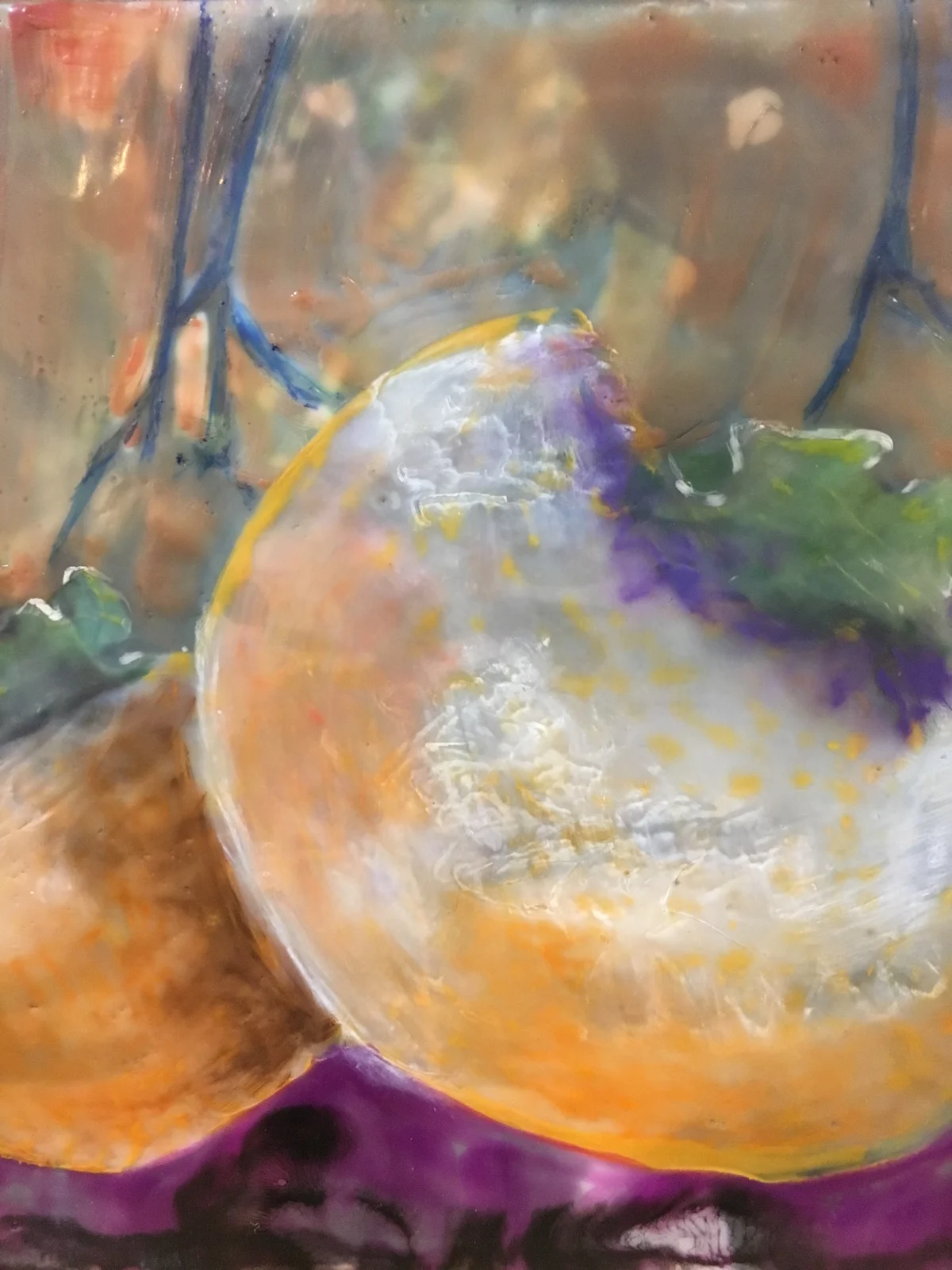 Fuyu Persimmons National Arboretum 11x11