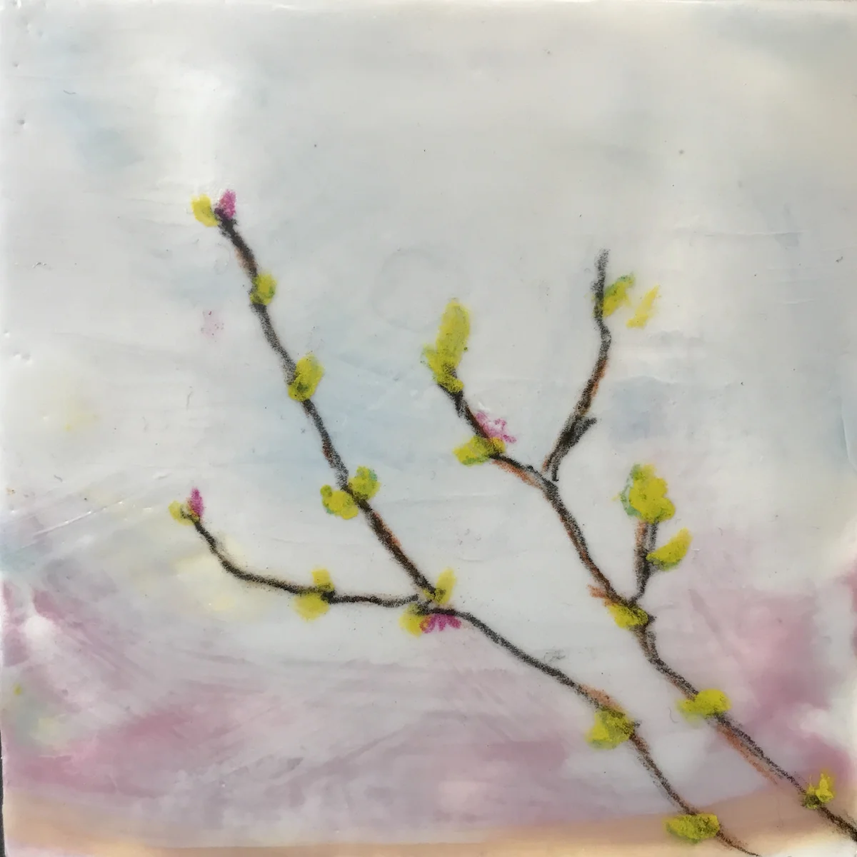 Spring Crabapples 4"x4"