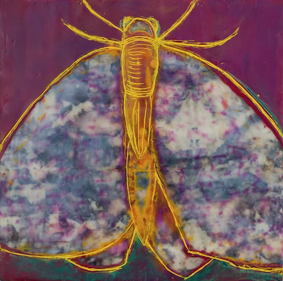 Moth, 11" x 11"