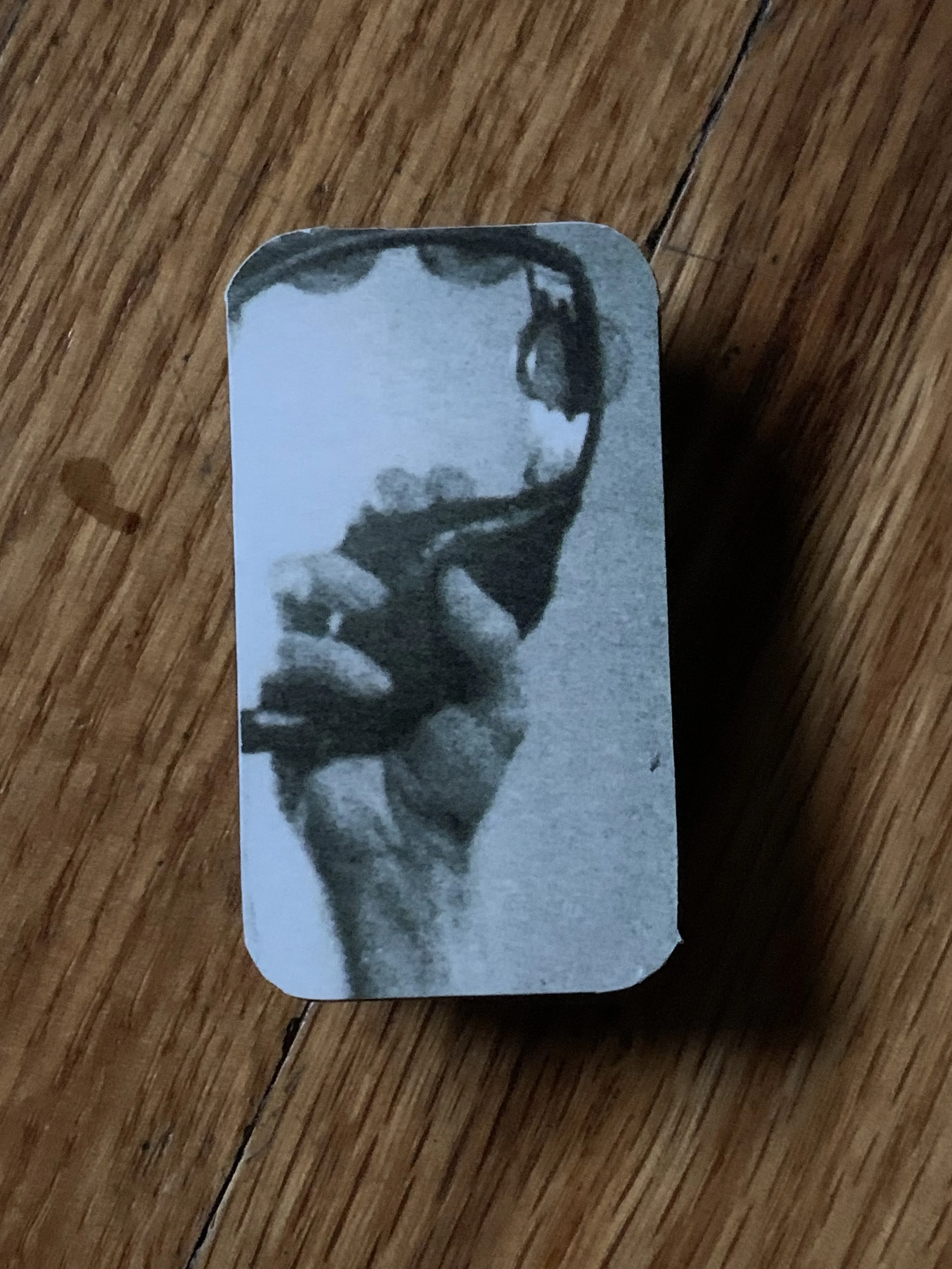 Photo Dec 16 2024, 15 52 25.jpg