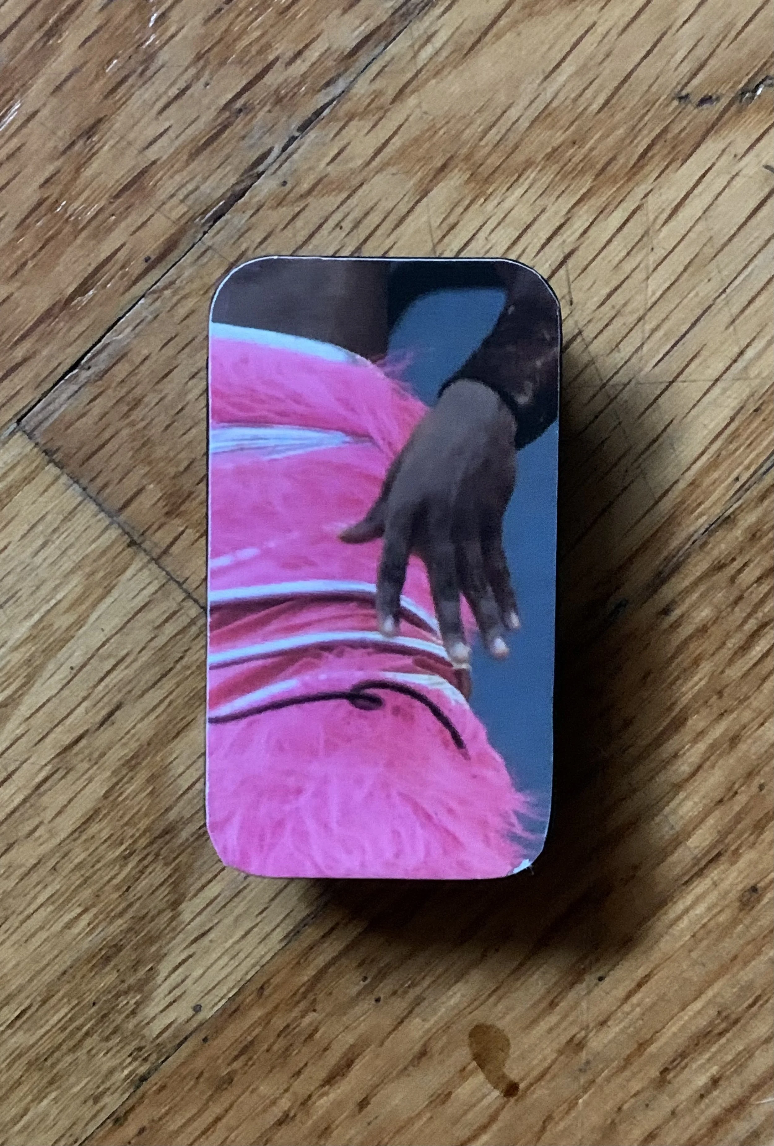 Photo Dec 17 2024, 13 08 45.jpg