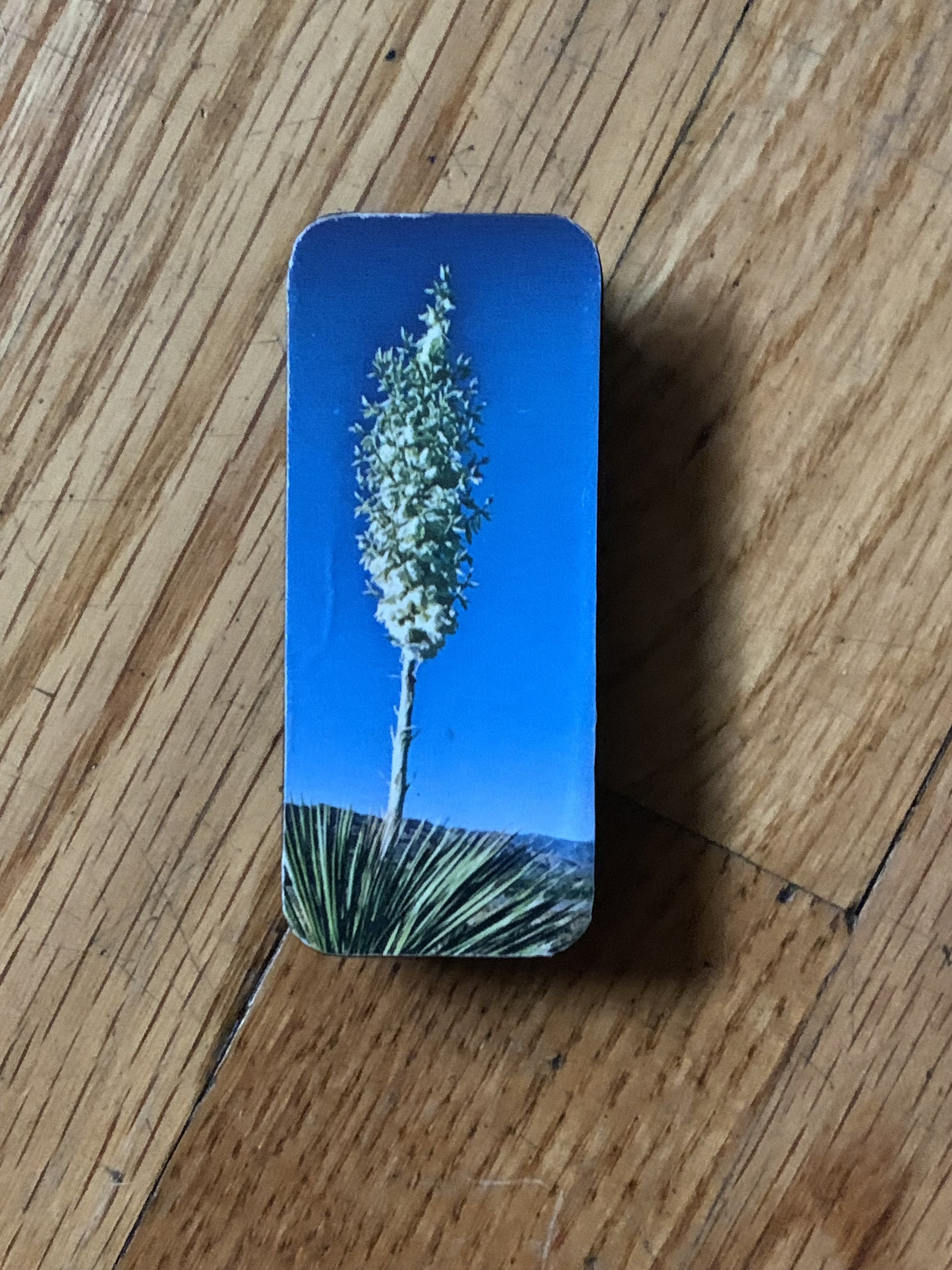 Photo Dec 17 2024, 13 06 04.jpg