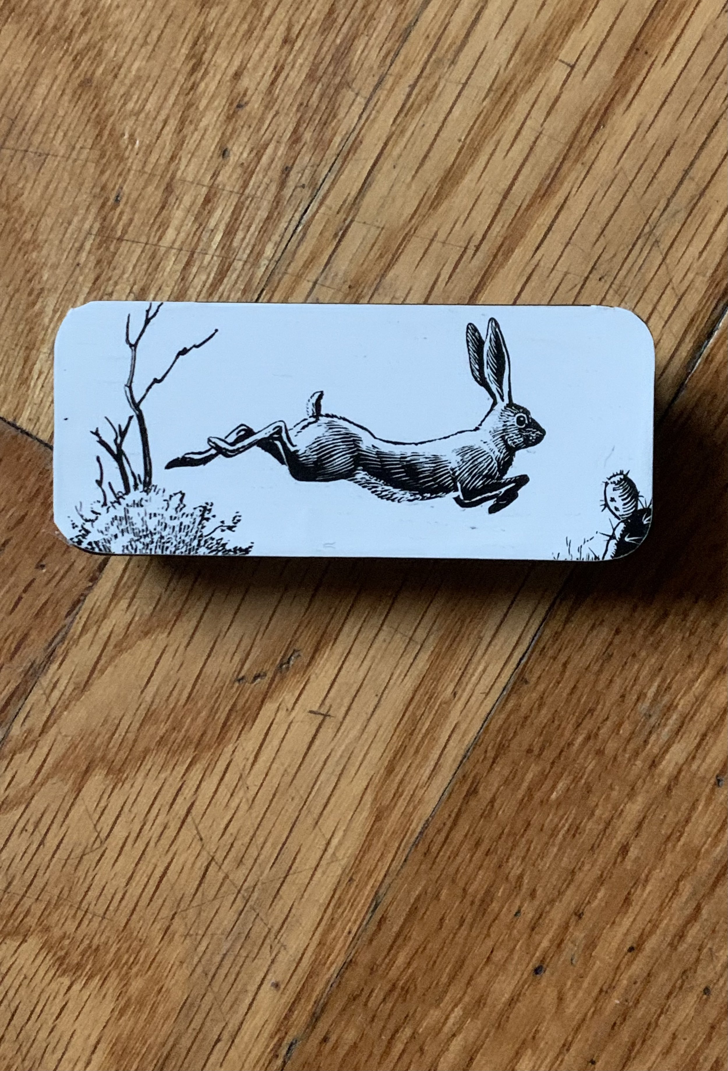 Photo Dec 17 2024, 13 06 53.jpg