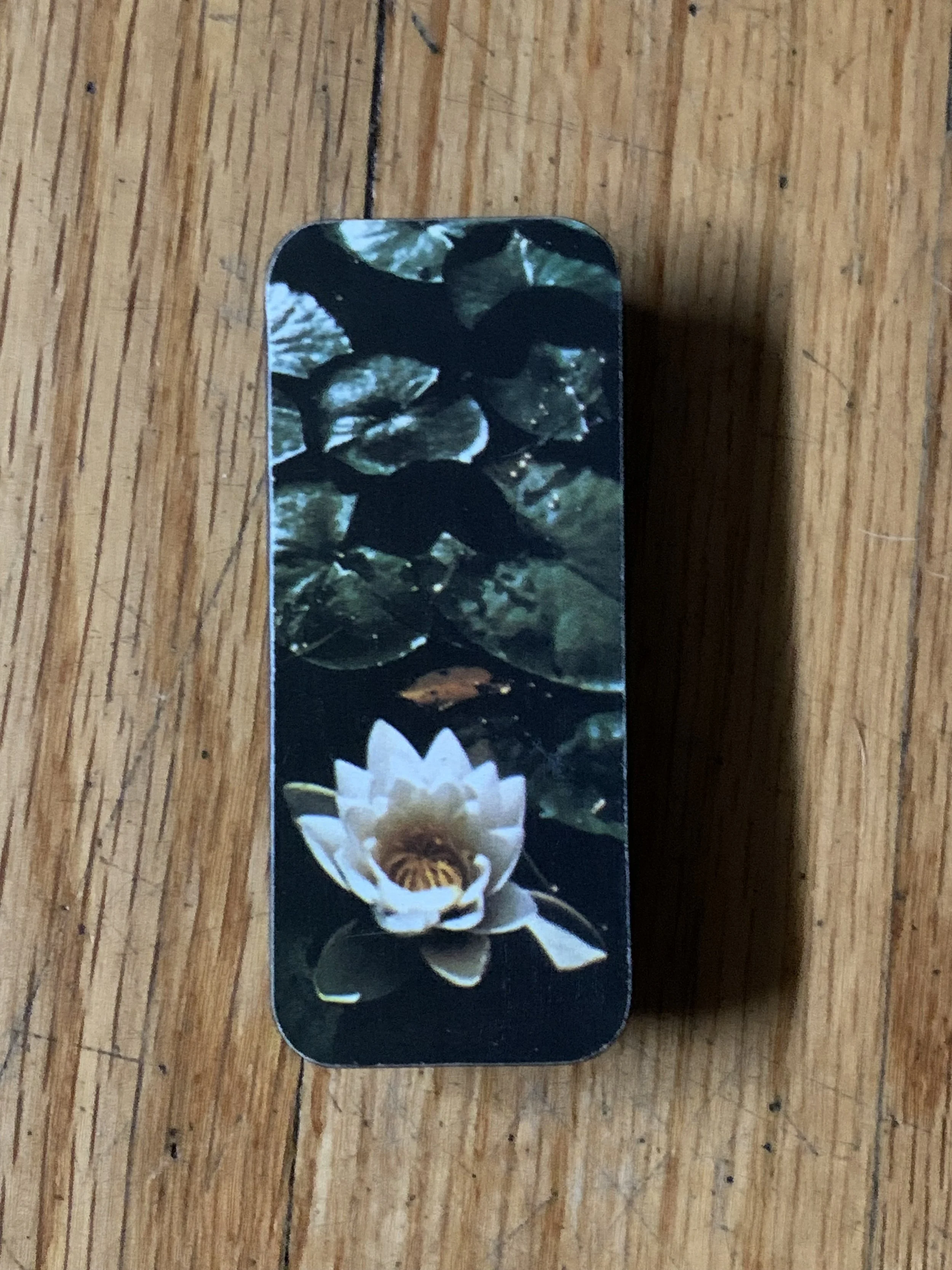 Photo Dec 19 2024, 10 25 53.jpg