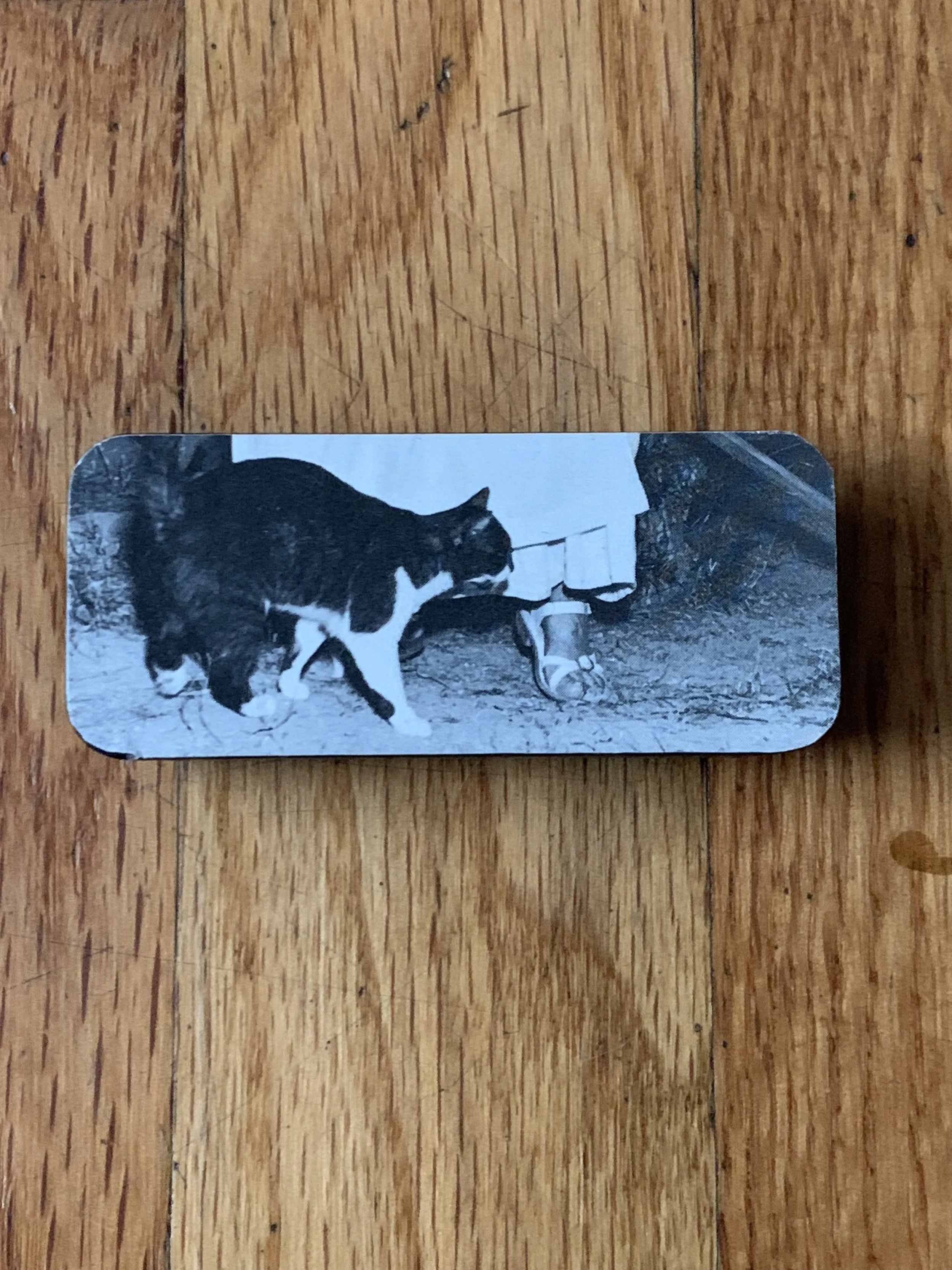 Photo Dec 25 2024, 09 06 13.jpg