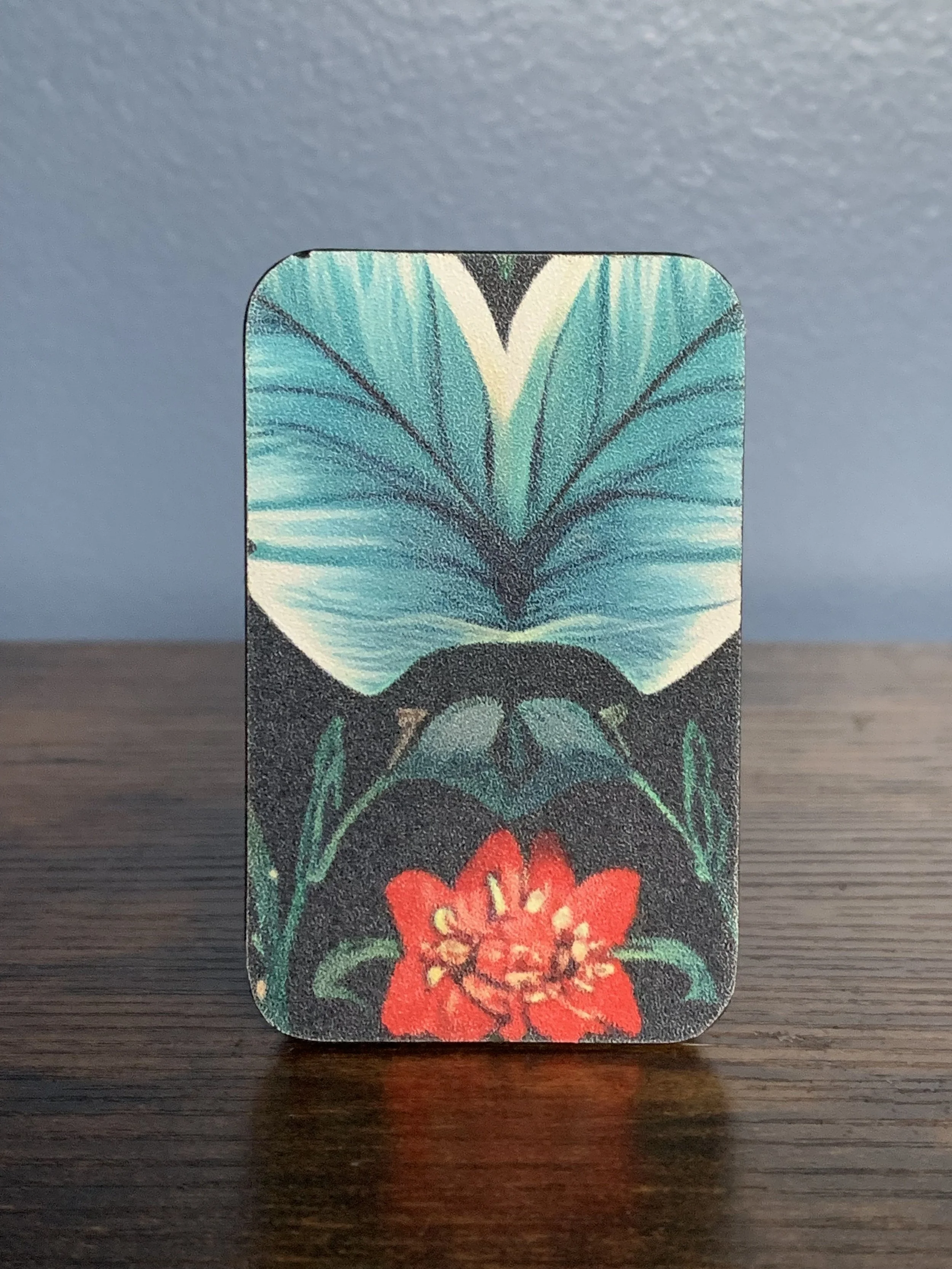 Photo Dec 02 2024, 11 23 13.jpg