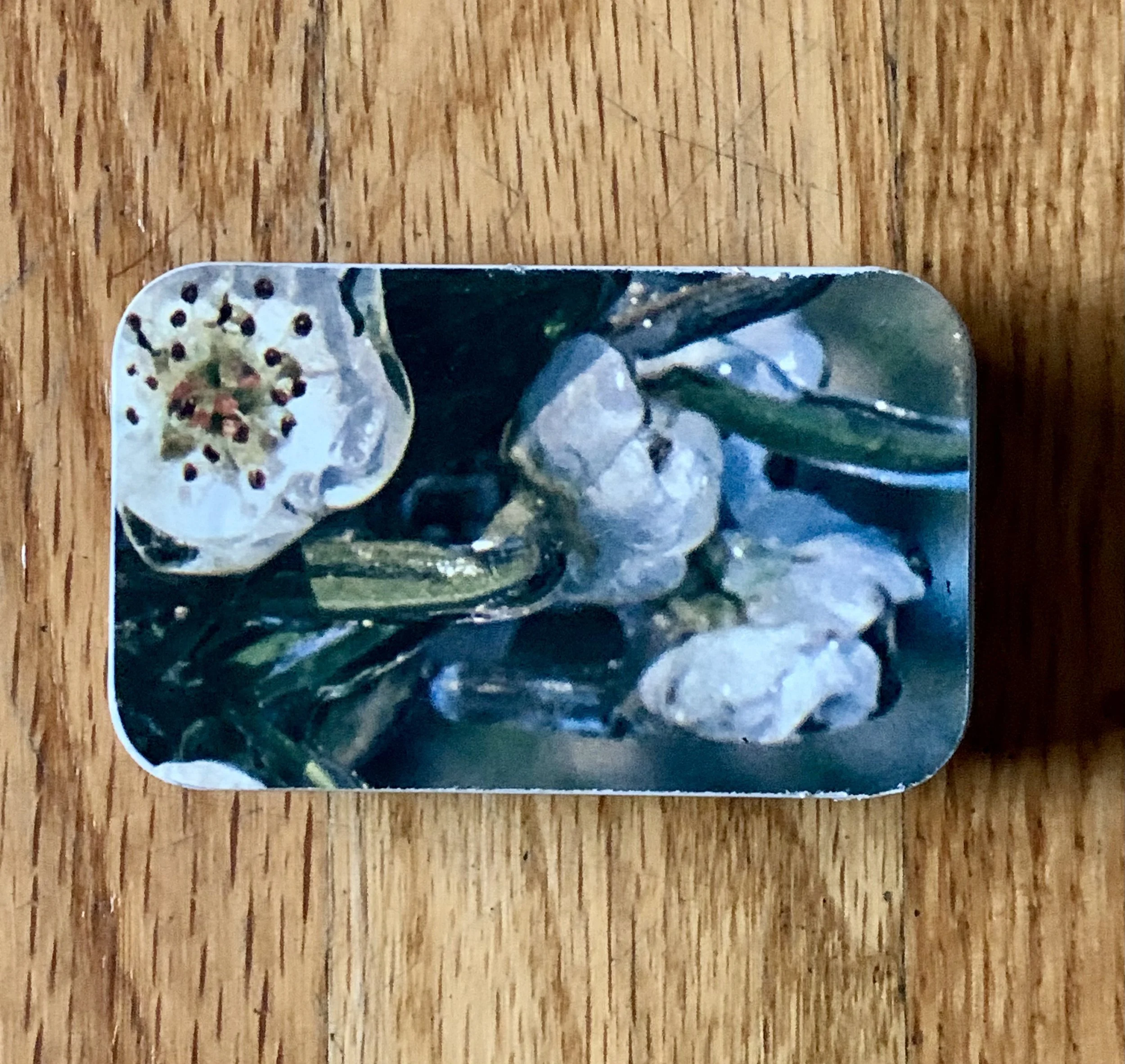 Photo Dec 18 2024, 11 04 51.jpg