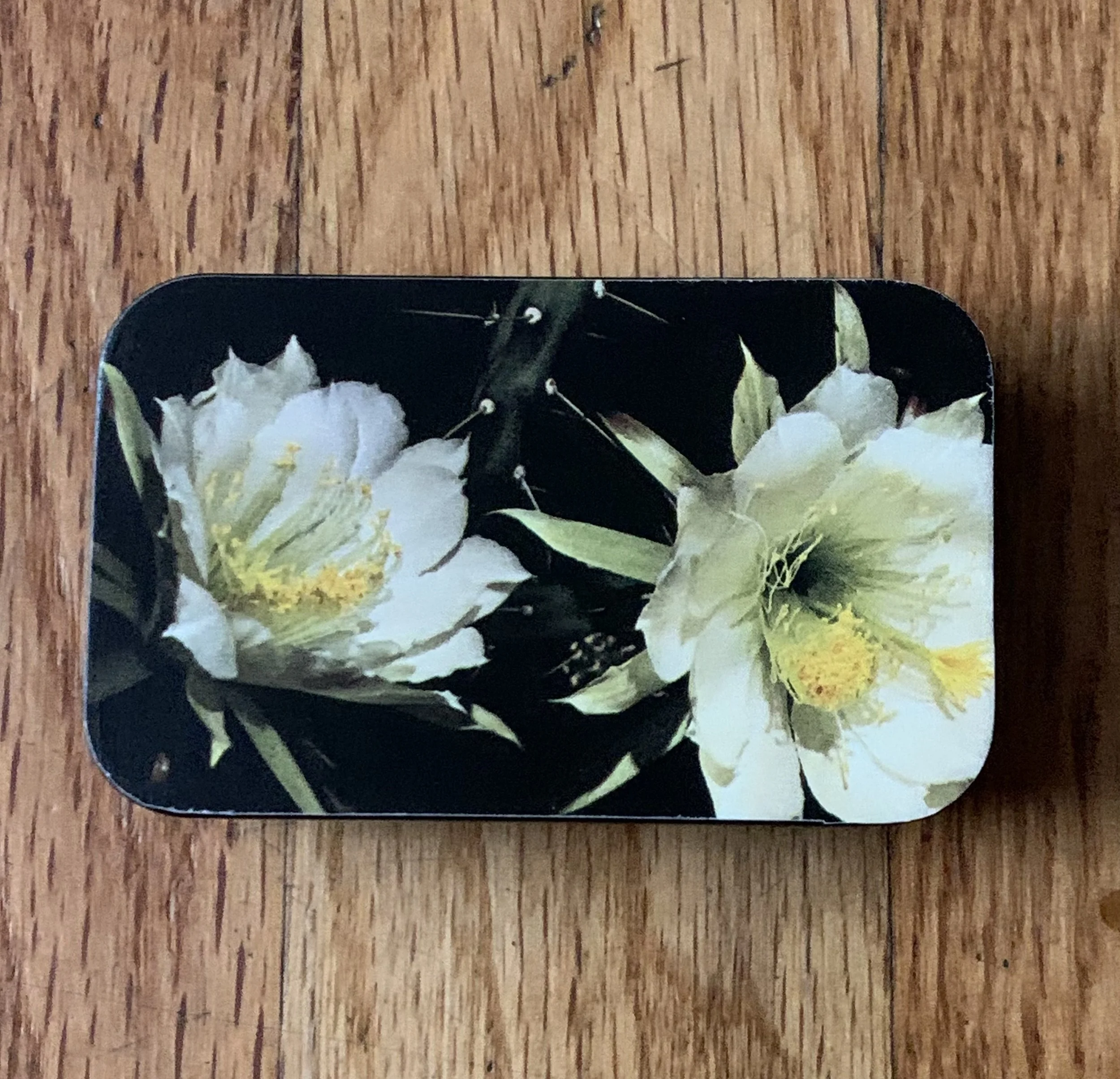 Photo Dec 25 2024, 09 04 10.jpg