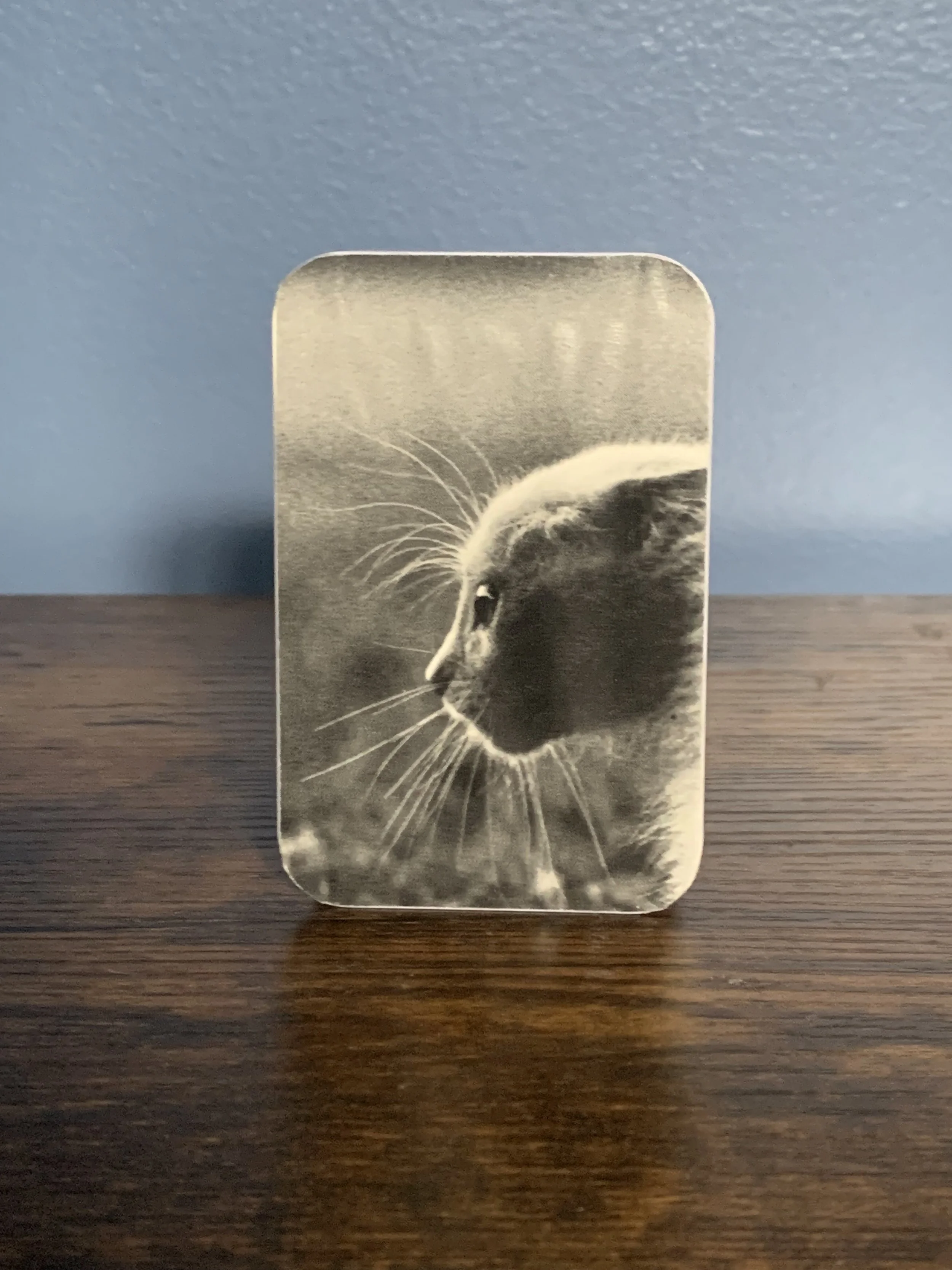 Photo Dec 02 2024, 11 18 11.jpg