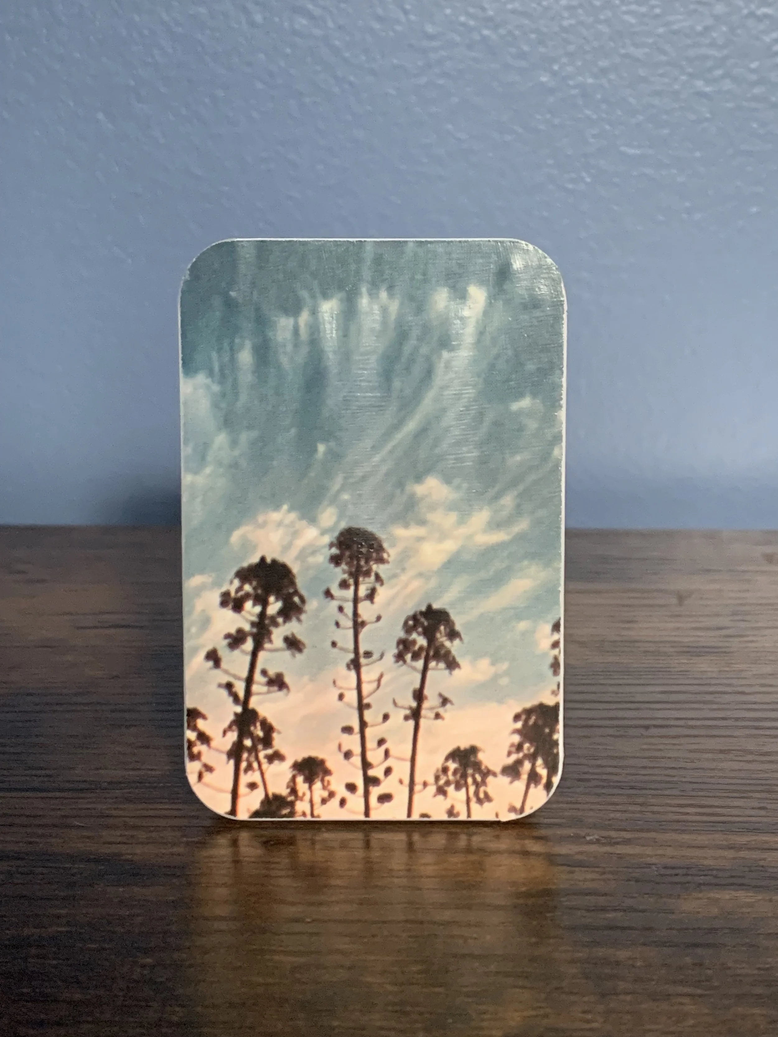 Photo Dec 02 2024, 11 18 24.jpg