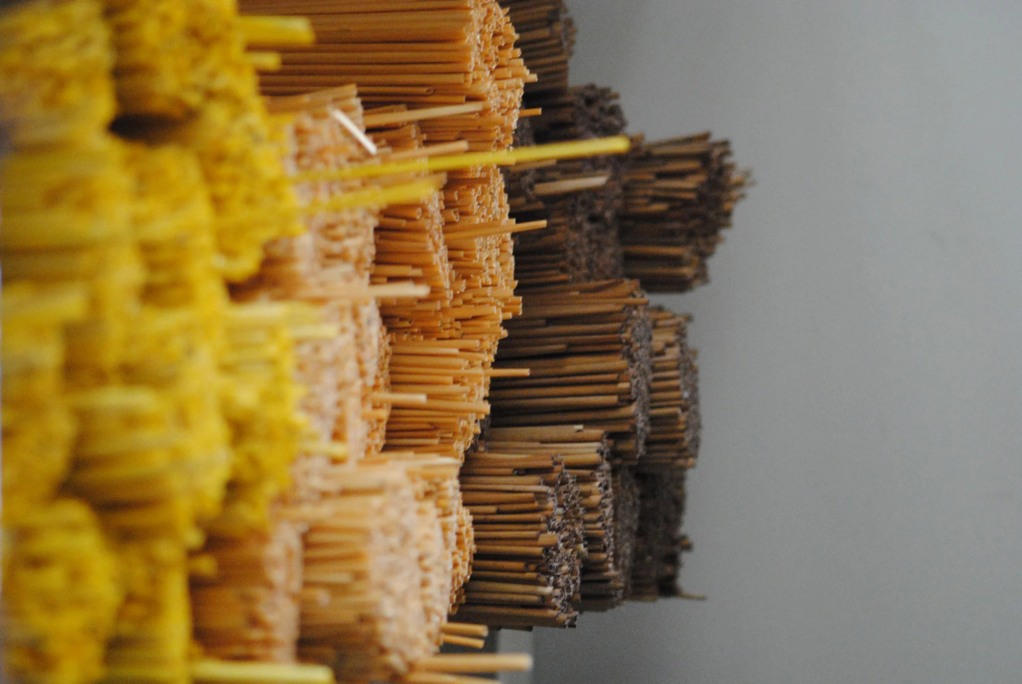 straw-stalks.jpg