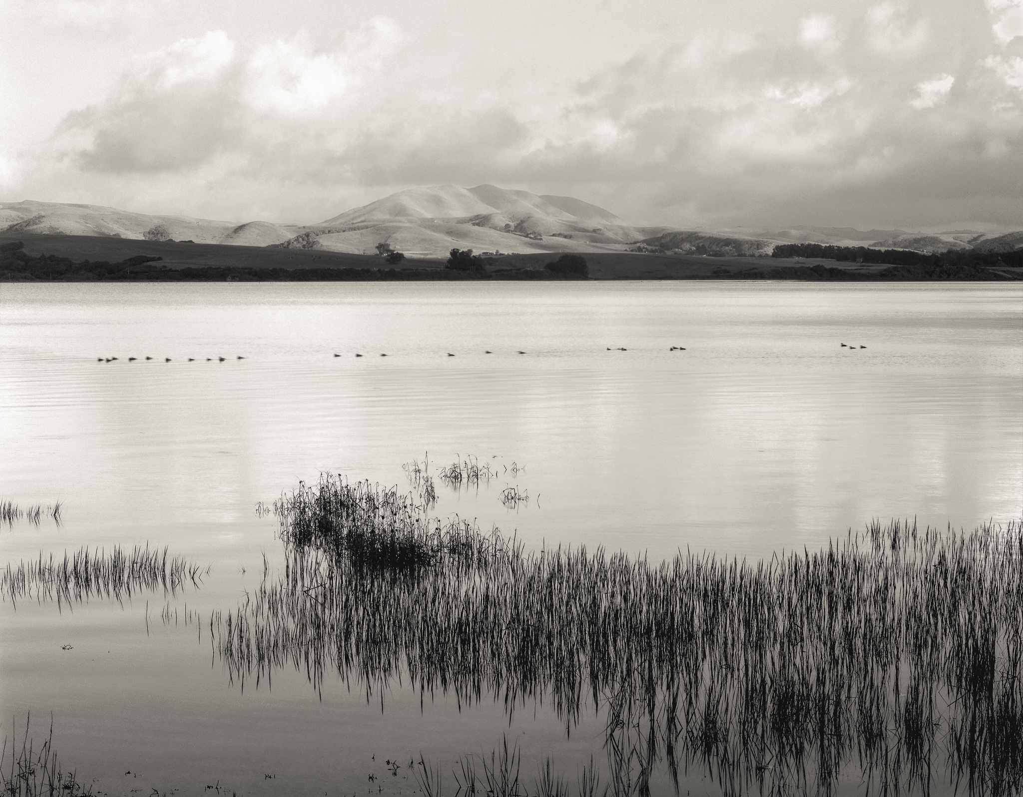 Black Mountain, Tomales Bay