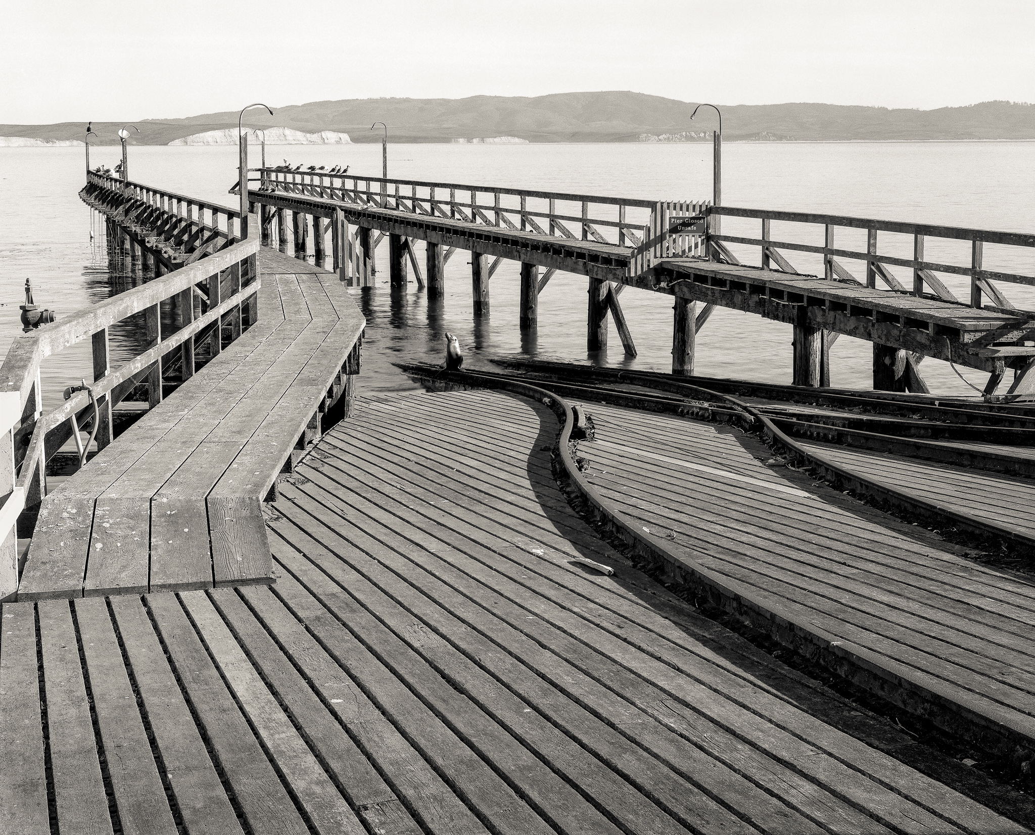 Sea Lion, Old Lifeboat Station, Drake's Bay