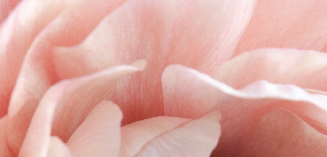 Yin Mind Pictures (2).png