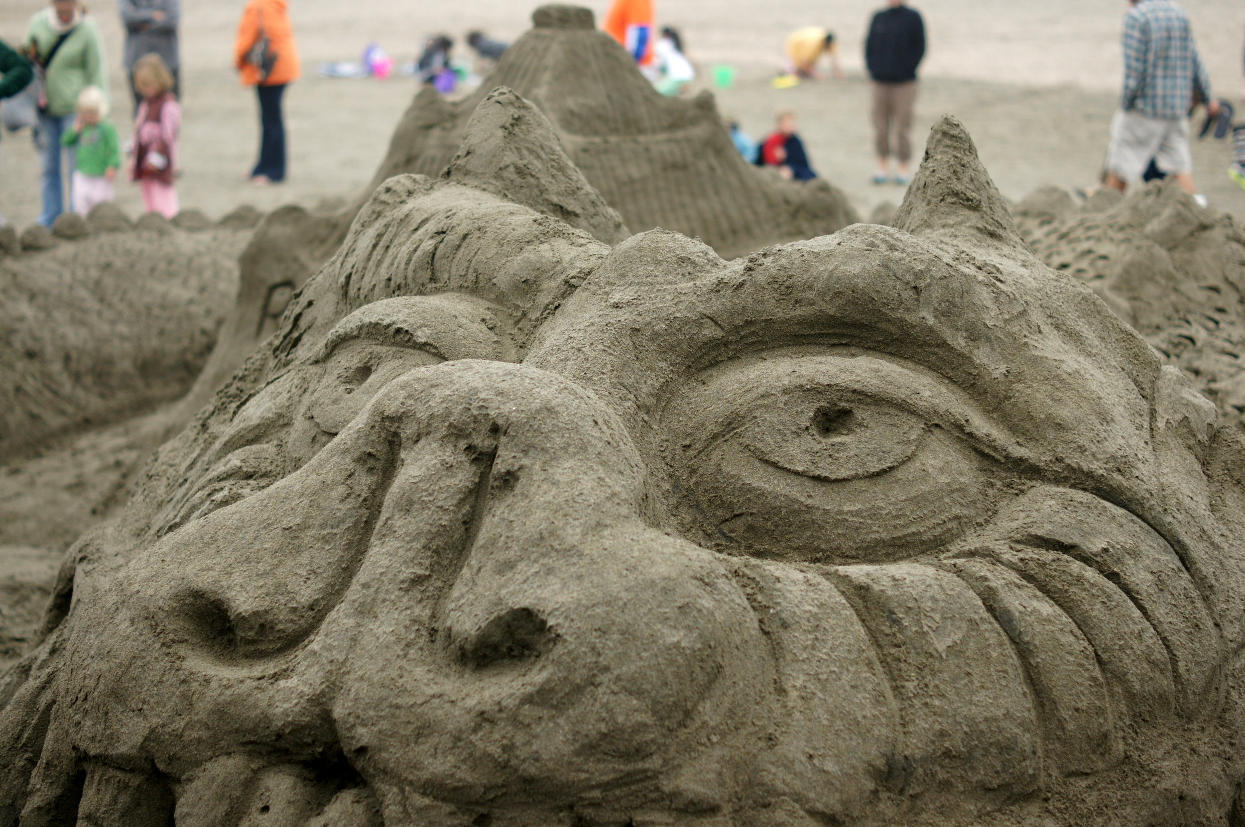 04 dragon-DSC09478.JPG