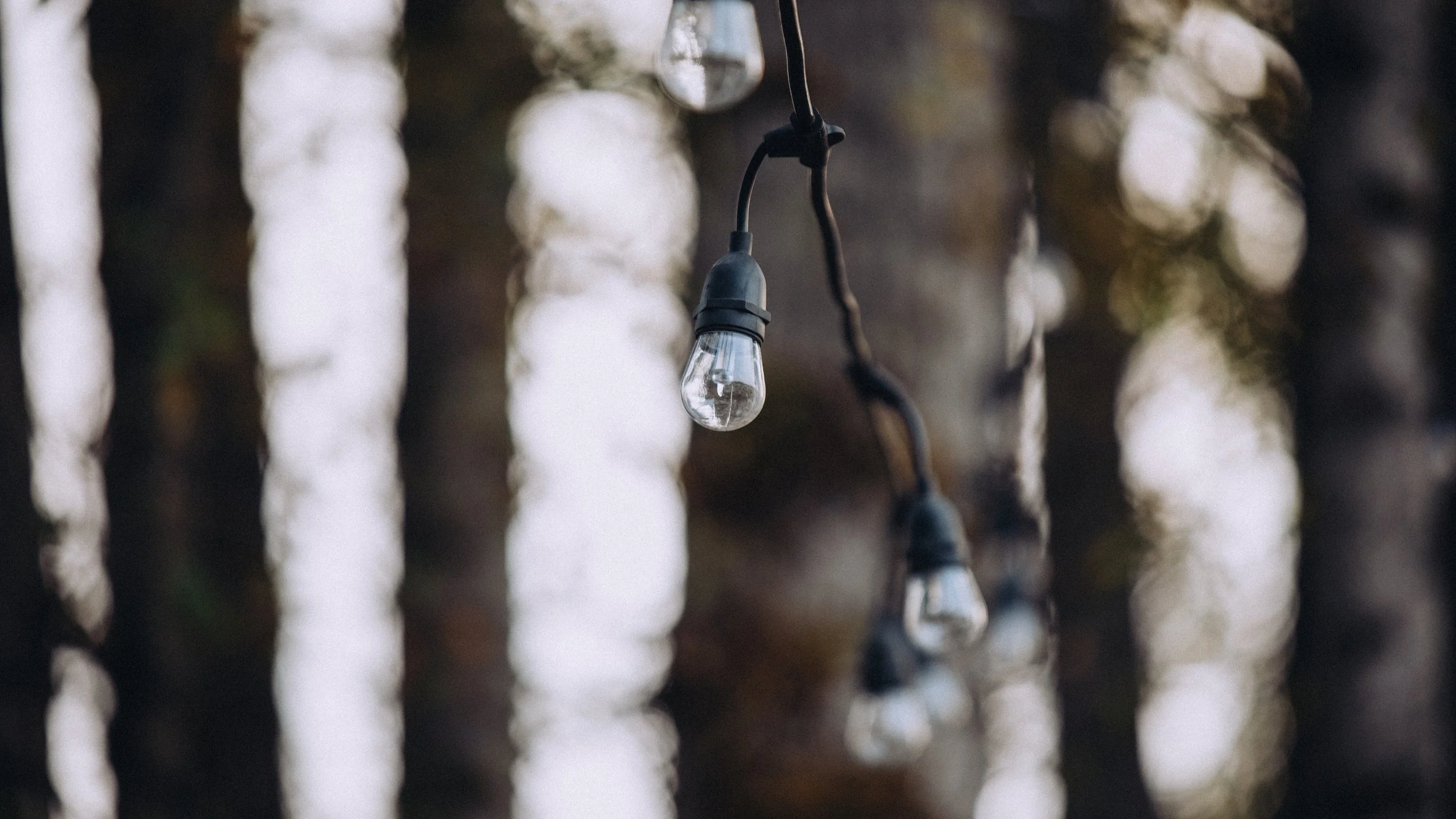 Catherine & Nick Wedding-185.jpg