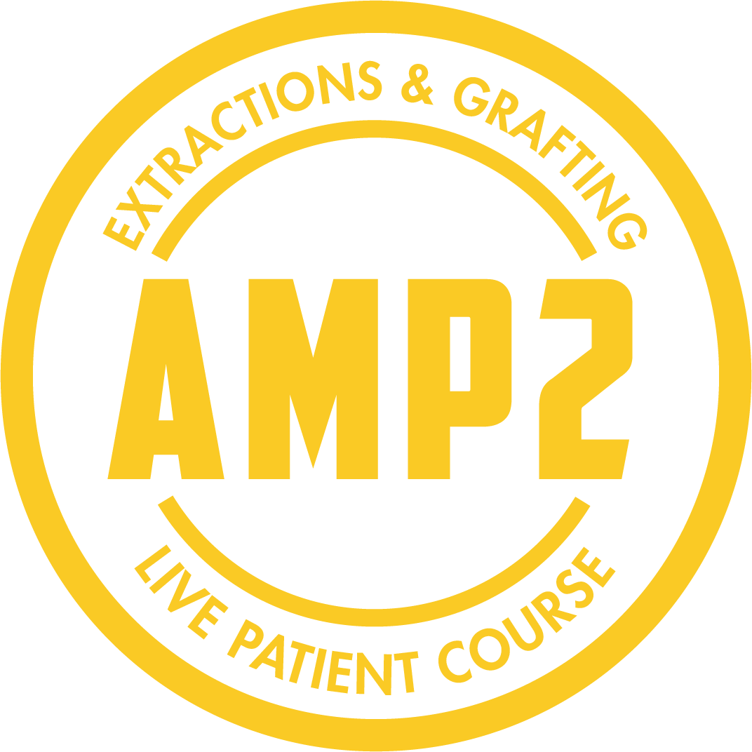AMP2