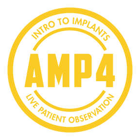 AMP-amp4_icon(g).png