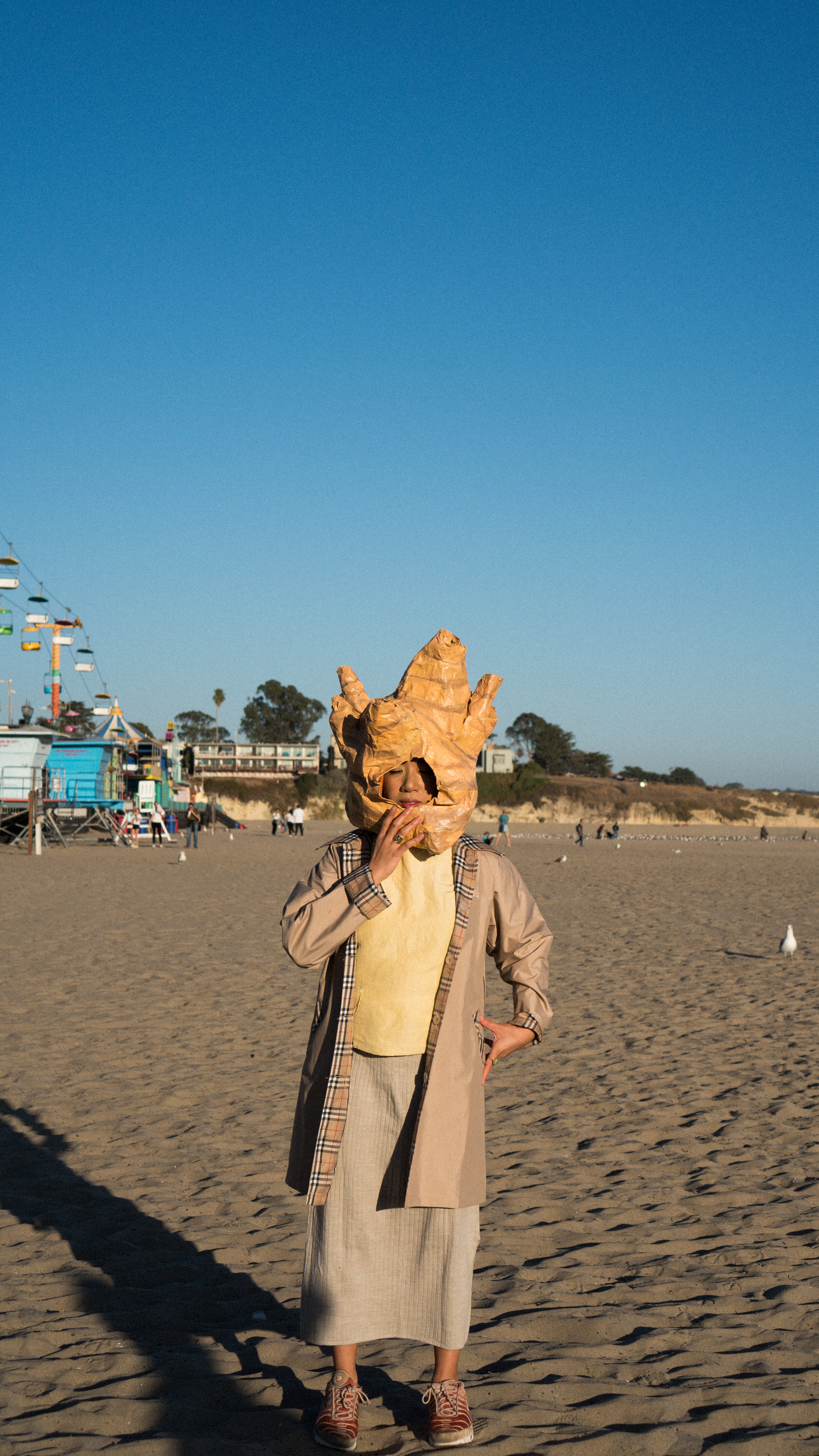 Ginger_SantaCruz_Edit-1.jpg