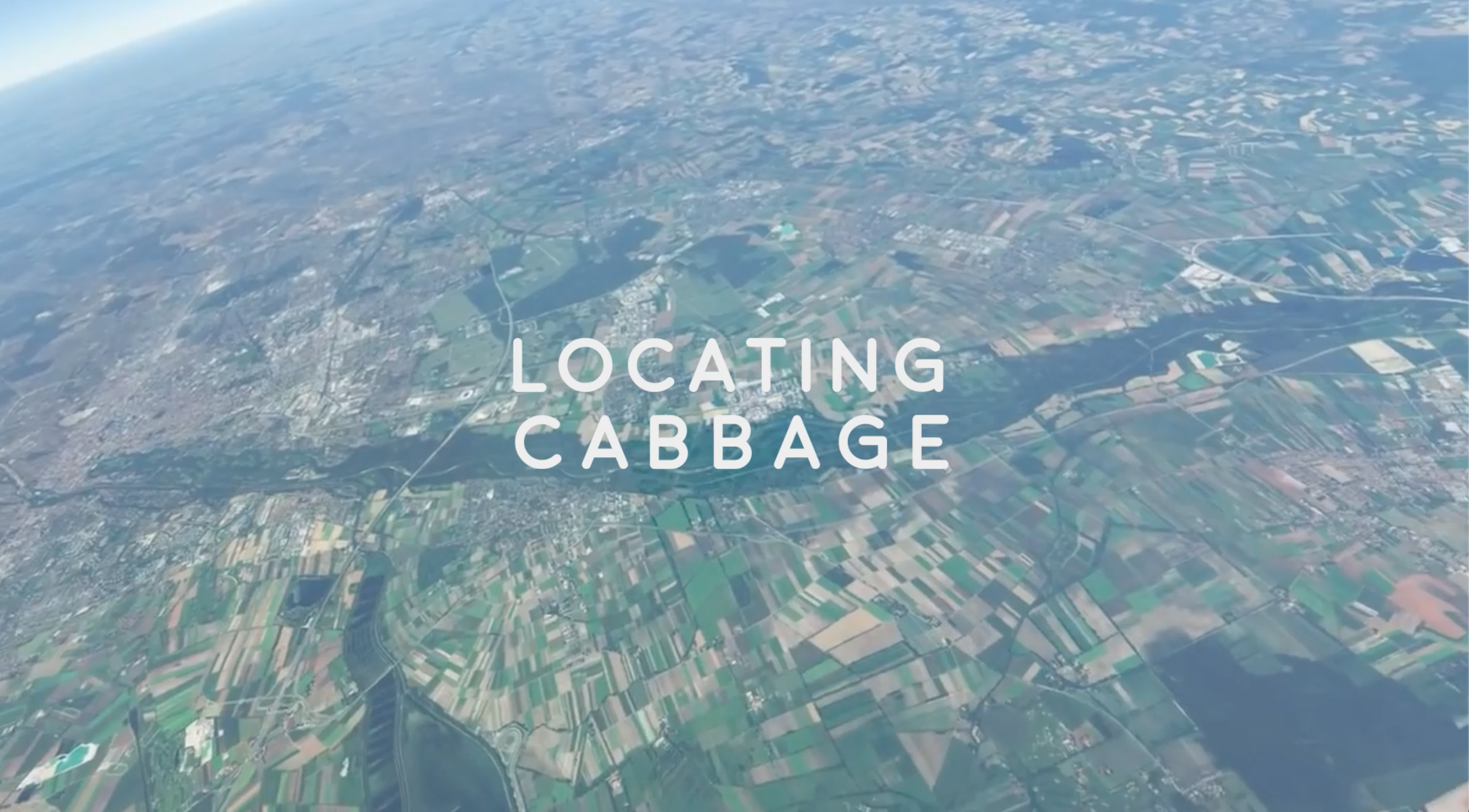 Locating Cabbage Still.png