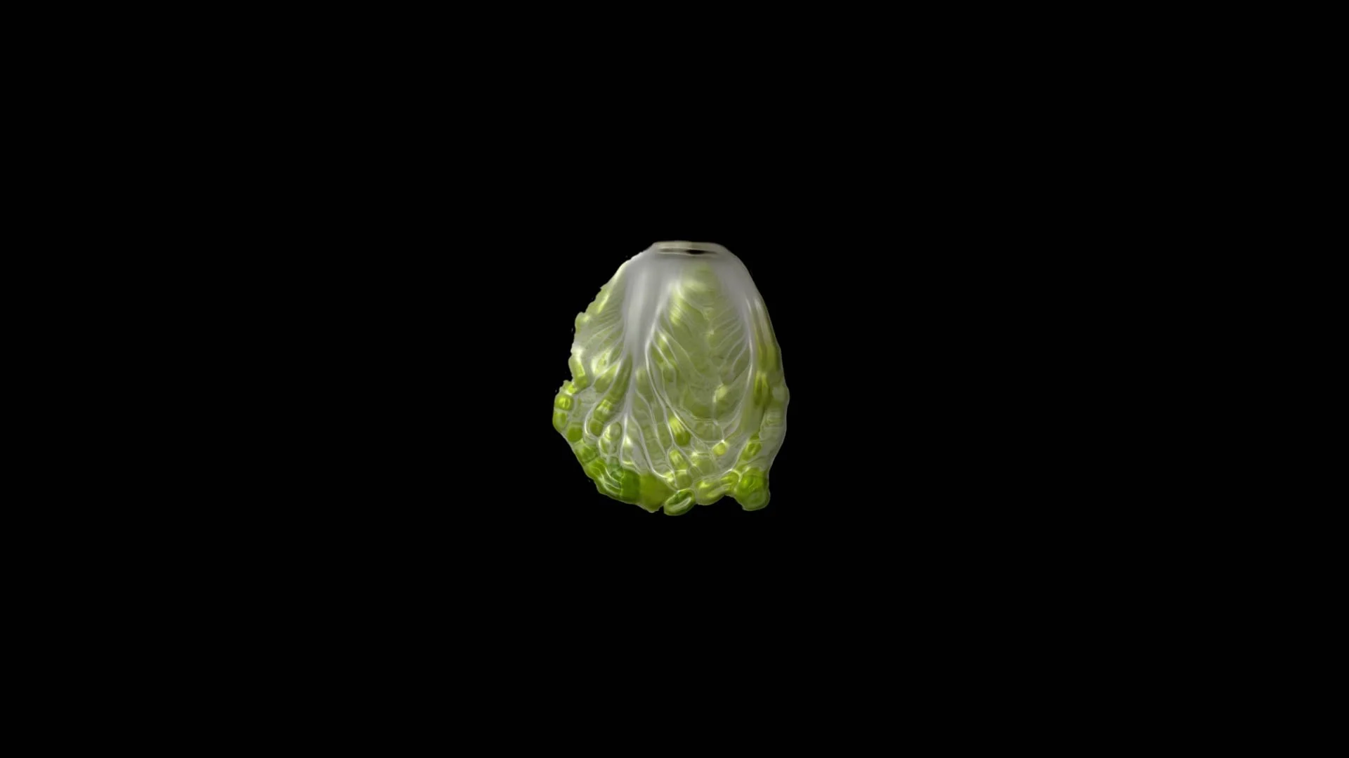 Scene 4 - Cabbage star (0-00-19-00).jpg