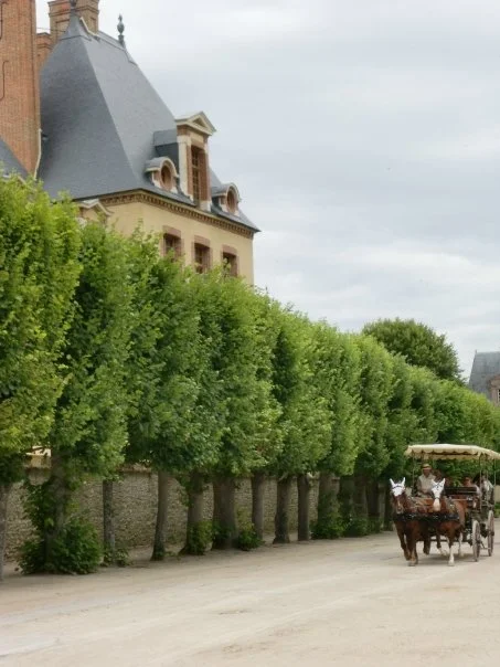 Photo: Cait, lurking outside Napoleon's crib back in 2009