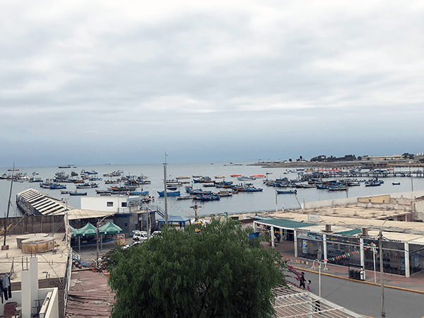 paracas_bay.png