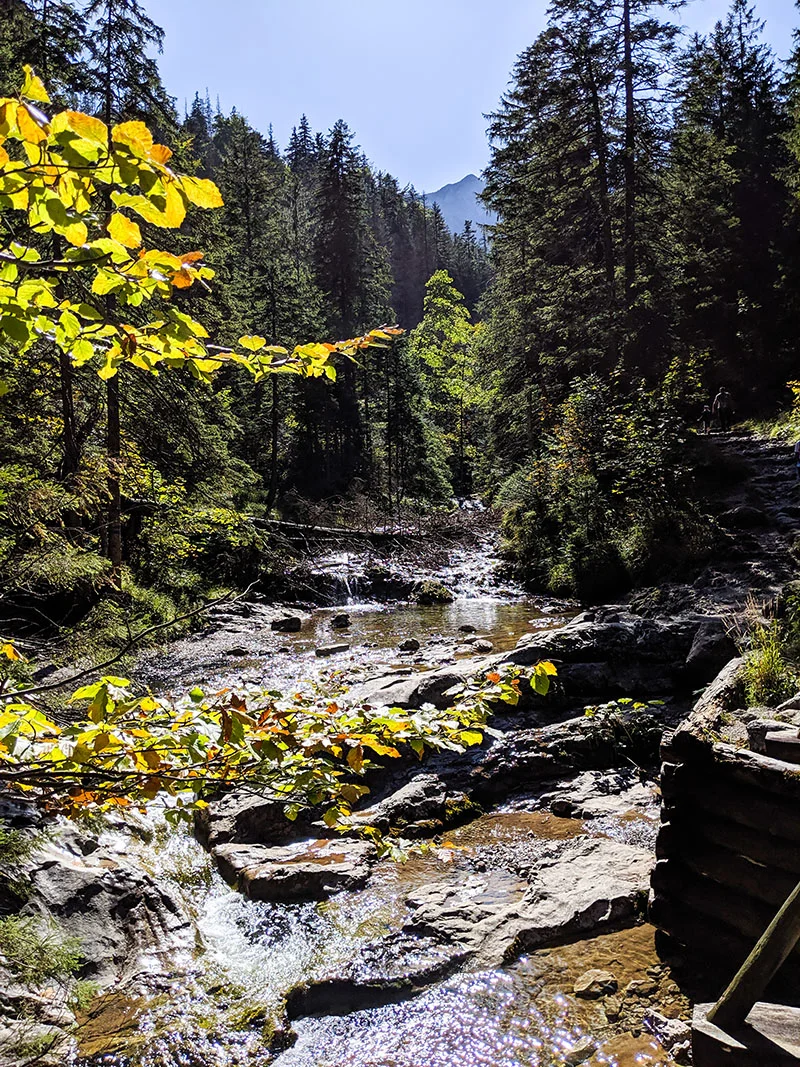 MVIMG_20190921_132233.jpg