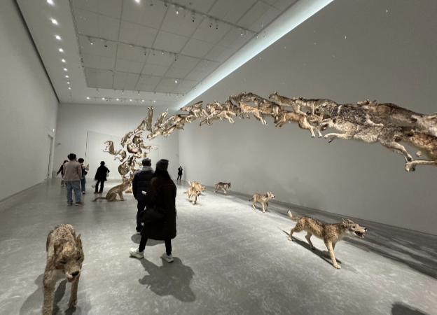 Miyako Island High School Student Field Trip to Benesse Art Site, Naoshima, Japan, 2025