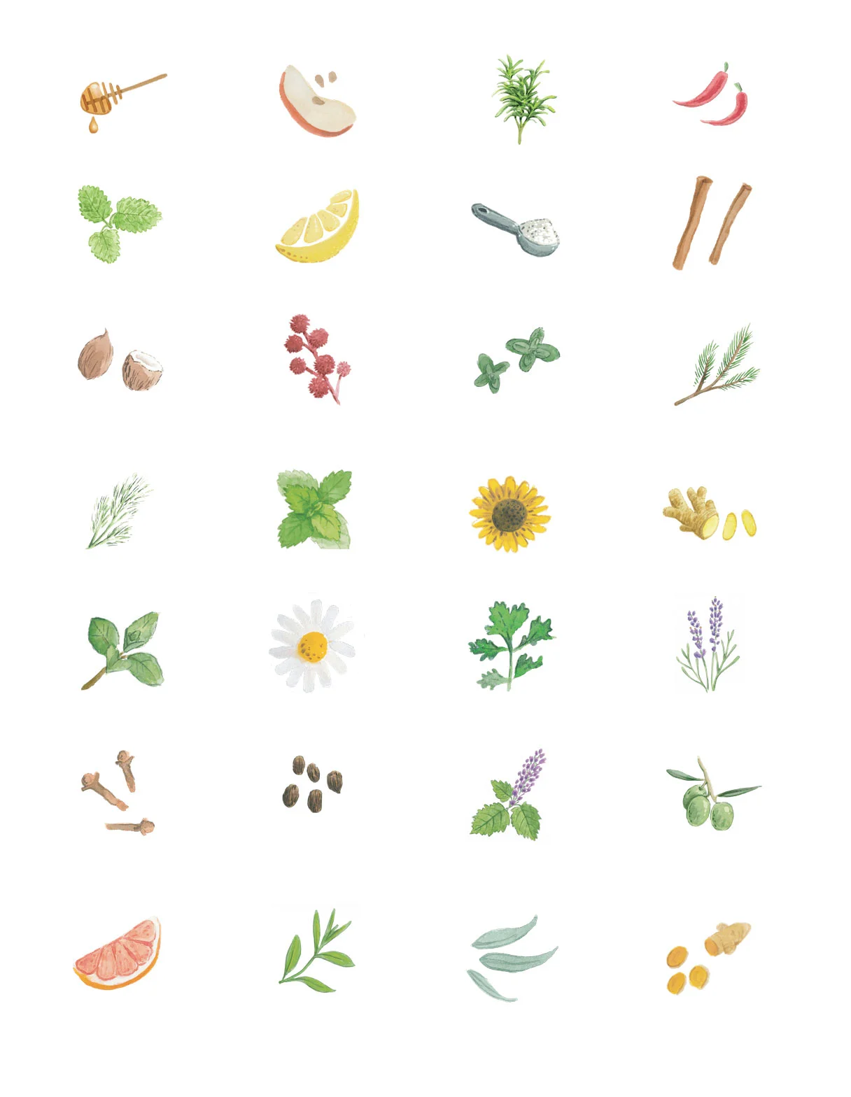 ingredients.jpg