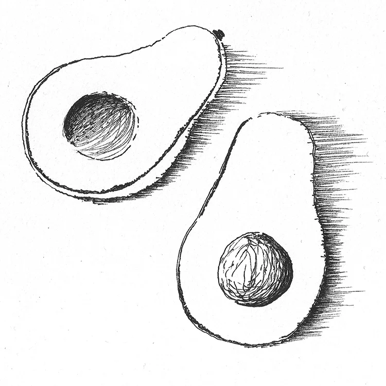 The avocado