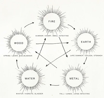 Evolution cycle in the center, construction cycle on the perimeter