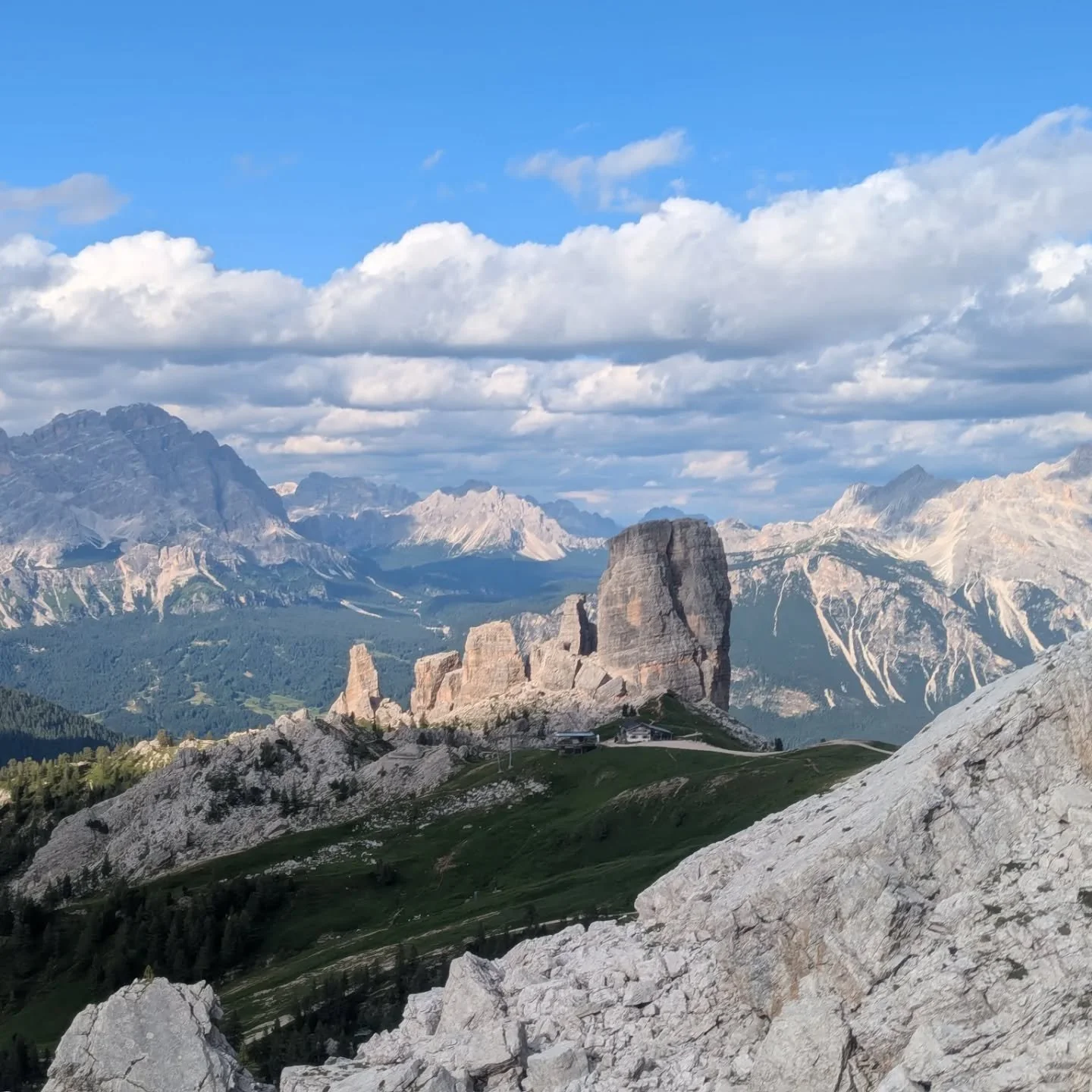 Dolomites - Cinque Torri
Forget-me-not
Seceda