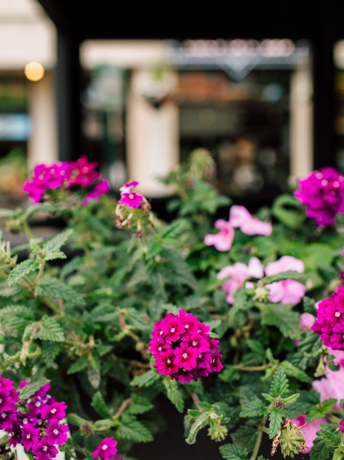 April showers bring May flowers and delicious cocktails. Welcome to Galloway's!
