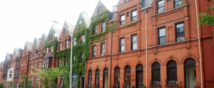 Mount Vernon Banner.JPG