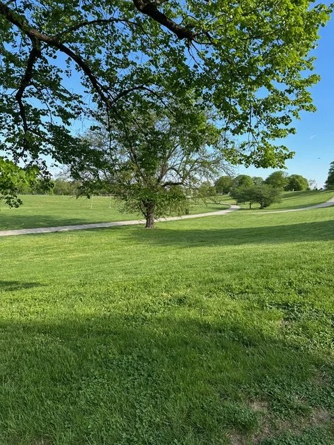 IMG_3707 - Copy.jpeg