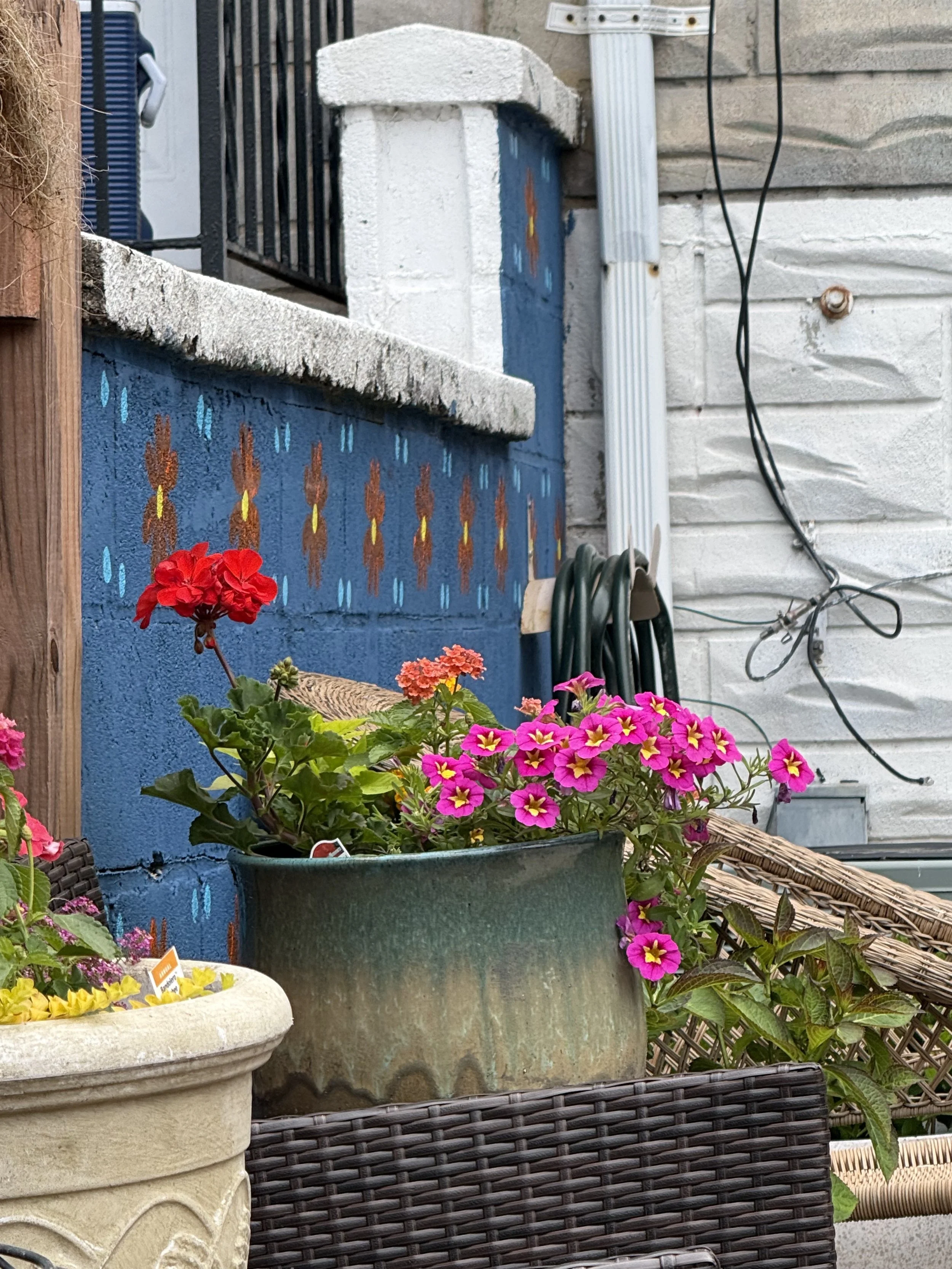 IMG_3625.jpg
